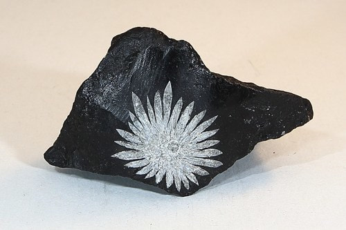 Chrysanthemum Stone - Metaphysical Healing Properties